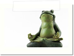 meditatingfrog